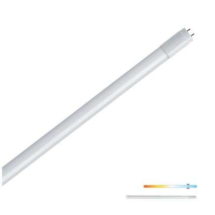 Λάμπα σωληνωτή LED T8 G13/9W/230V 6500K 60 cm
