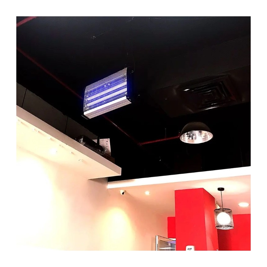 Λάμπα UV φθορισμού για ηλεκτρικό παγίδα εντόμων T8 G13/20W/230V 60,5 εκ.