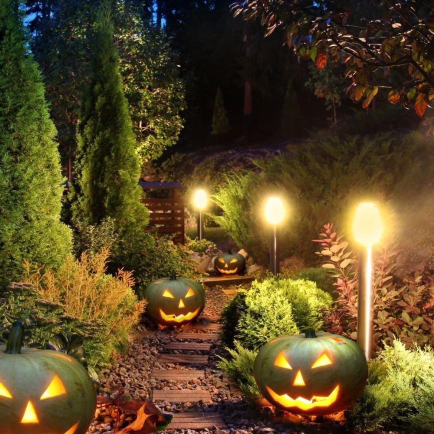 Λάμπα εξωτερικού χώρου 1xGU10/35W/230V IP54 80 cm μαύρο