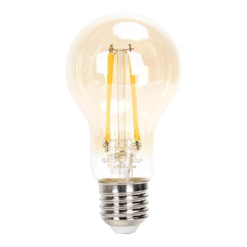 Λαμπτήρας Dimming LED FILAMENT A60 E27/6W/230V 2200K - Aigostar