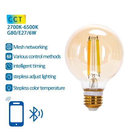 Λαμπτήρας Dimming LED FILAMENT MESH Smart G80 E27/6W/230V 2700-6500K - Aigostar