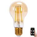 Λαμπτήρας Dimming LED FILAMENT MESH Smart A60 E27/6W/230V 2700-6500K - Aigostar