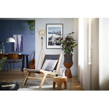 Λαμπτήρας Dimming LED VINTAGE Philips G200 E27/7W/230V 2000K