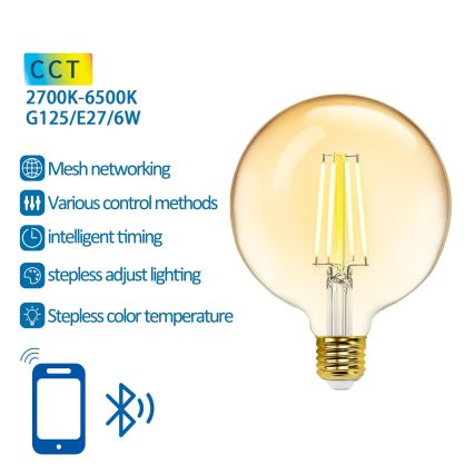 Λαμπτήρας Dimming LED FILAMENT MESH Smart G125 E27/6W/230V 2700-6500K - Aigostar