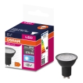 Λαμπτήρας LED VALUE PAR16 GU10/6,9W/230V 6500K 36° μαύρο - Osram
