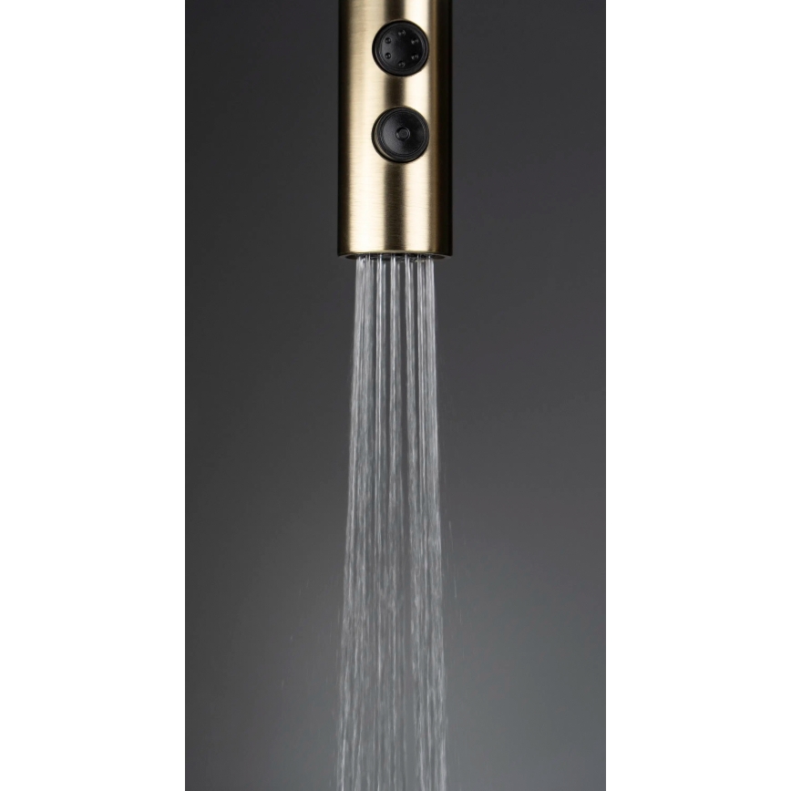 Deante BQO_R72M - Μπαταρία κουζίνας με ντους OLFATO brushed χρυσό