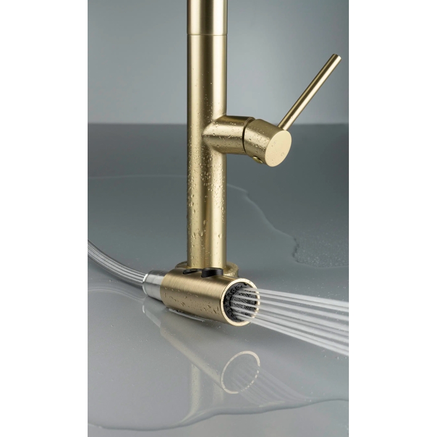 Deante BQO_R72M - Μπαταρία κουζίνας με ντους OLFATO brushed χρυσό