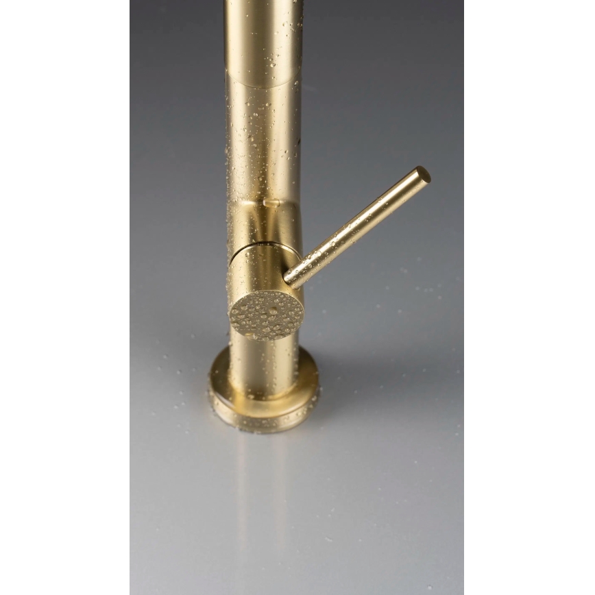 Deante BQO_R72M - Μπαταρία κουζίνας με ντους OLFATO brushed χρυσό