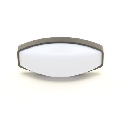 Deko-Light 731092 - Επιτοίχιο φωτιστικό εξωτερικού χώρου LED ERIDANI LED/13W/230V IP44 ανθρακί