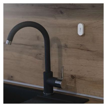 Digital ασύρματος θερμόμετρο GoSmart 1×CR2032
