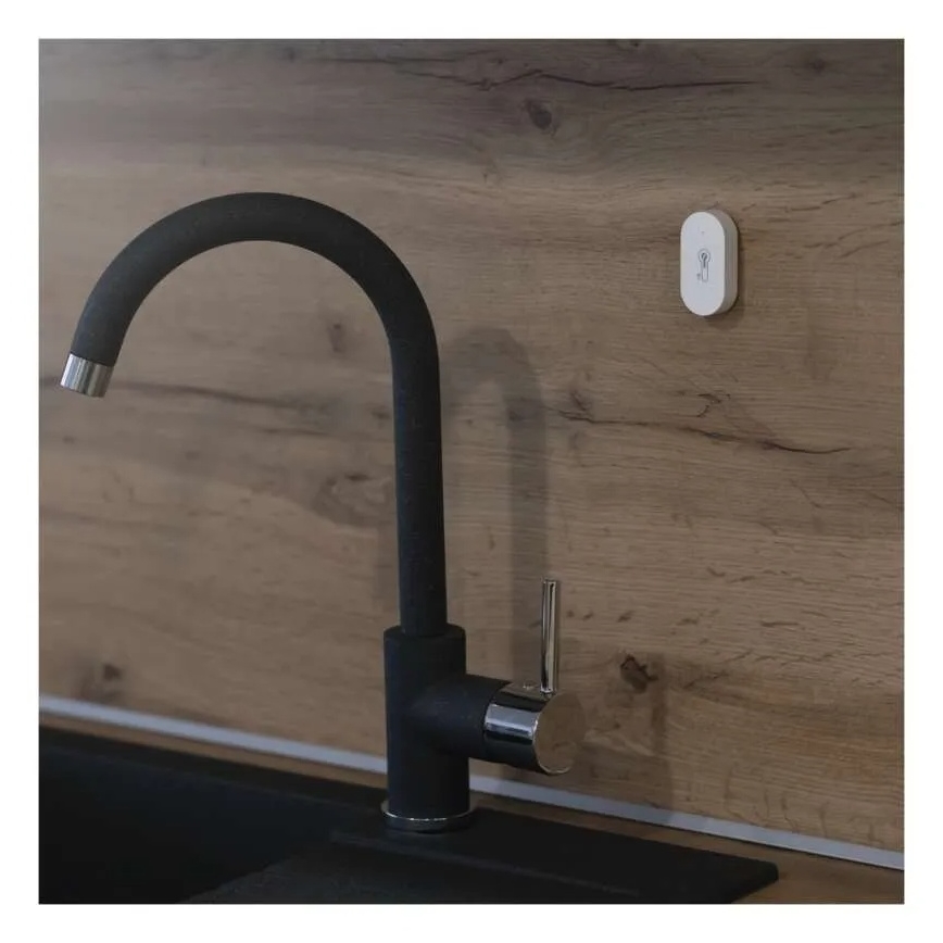 Digital ασύρματος θερμόμετρο GoSmart 1×CR2032