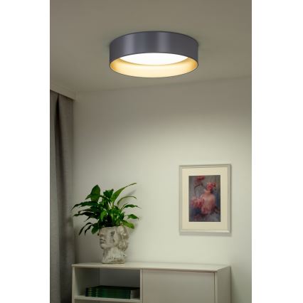 Duolla - Φωτιστικό οροφής LED ROLLER LED/24W/230V διάμετρος 45 cm ασημί/χρυσό