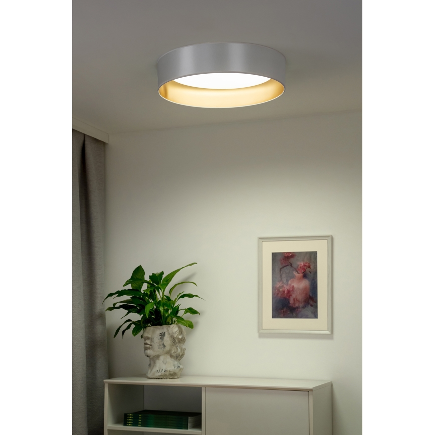 Duolla - Φωτιστικό οροφής LED ROLLER LED/24W/230V διάμετρος 45 cm ασημί/χρυσό