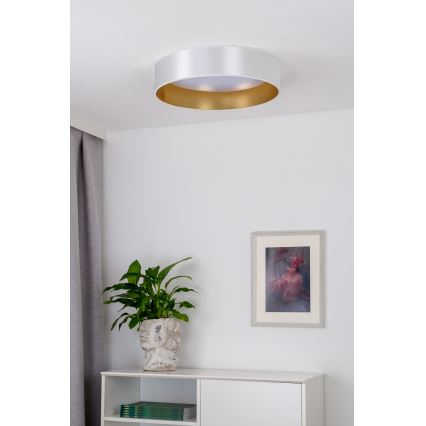 Duolla - Φωτιστικό οροφής LED ROLLER LED/24W/230V διάμετρος 45 cm ασημί/χρυσό
