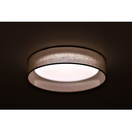 Duolla - Φωτιστικό οροφής LED ROLLER LED/24W/230V διάμετρος 45 cm ανοιχτό γκρι