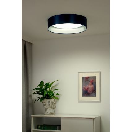 Duolla - Φωτιστικό οροφής LED ROLLER LED/24W/230V διάμετρος 45 cm μπλε/ασημί
