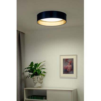 Duolla - Φωτιστικό οροφής LED ROLLER LED/24W/230V διάμετρος 45 cm μπλε/χρυσό