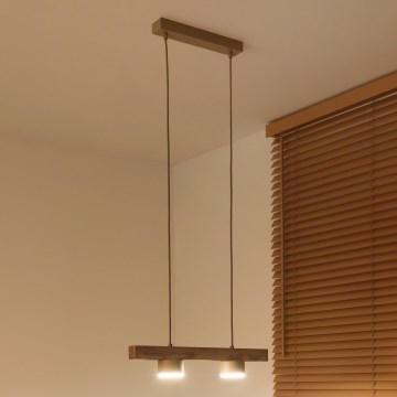 Duolla - Κρεμαστό φωτιστικό με καλώδιο IRONLINE 2xGX53/3W/230V πεύκο δρυς/μπεζ