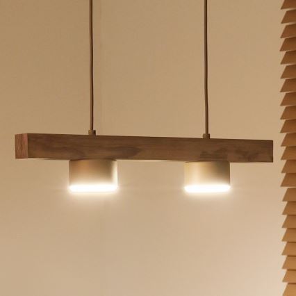 Duolla - Κρεμαστό φωτιστικό με καλώδιο IRONLINE 2xGX53/3W/230V πεύκο δρυς/μπεζ