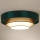 Duolla - Φωτιστικό οροφής LED LUNETA LED/26W/230V διάμετρος 60 cm 4000K πράσινο/χρυσαφί/λευκό