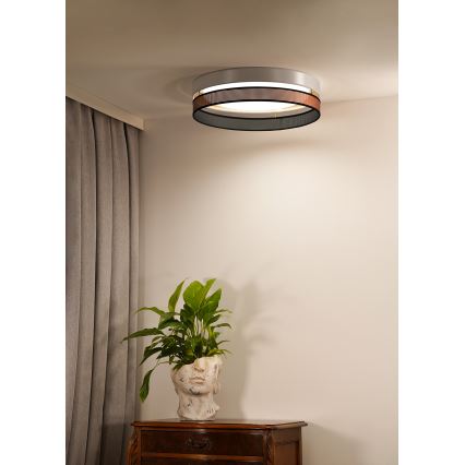 Duolla - Φωτιστικό οροφής LED ROLLER DUO SHINY LED/24W/230V διάμετρος 45 cm λευκό/χαλκός