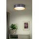 Duolla - Φωτιστικό οροφής LED ROLLER LED/24W/230V ασημί/χρυσαφί