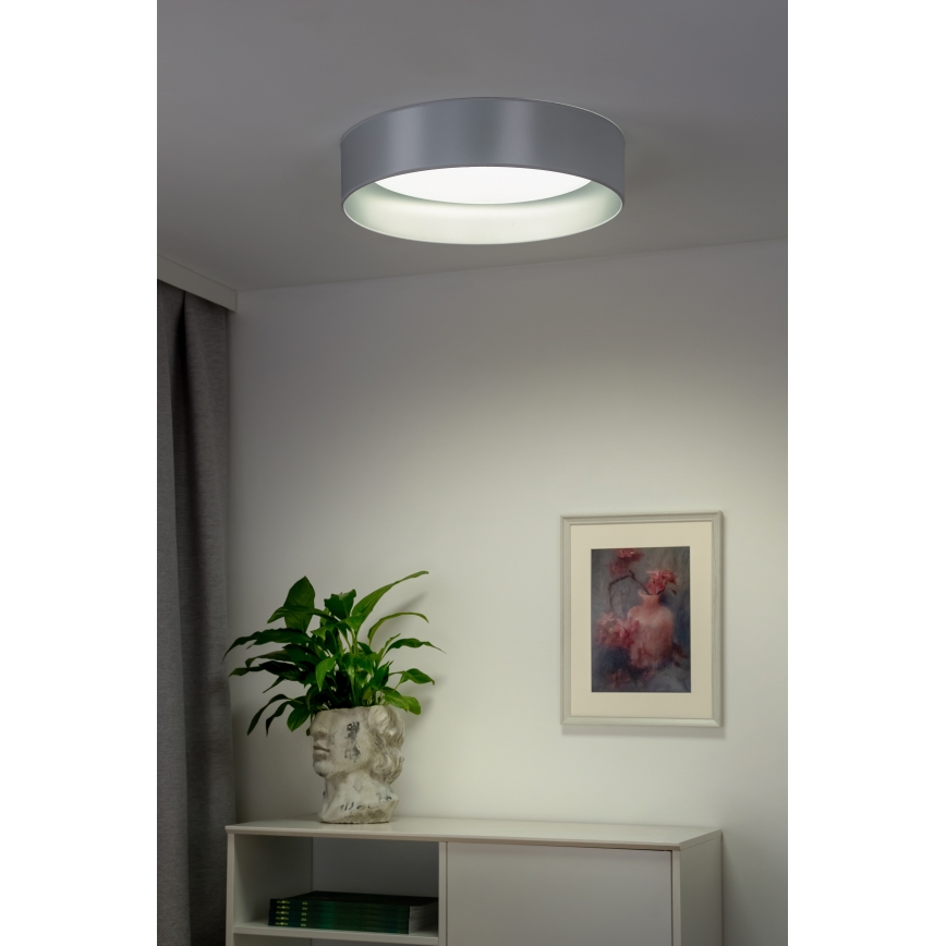 Duolla - Φωτιστικό οροφής LED ROLLER LED/24W/230V διάμετρος 45 cm ασημί