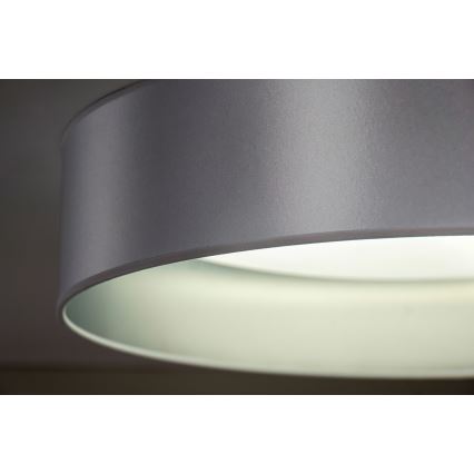 Duolla - Φωτιστικό οροφής LED ROLLER LED/24W/230V διάμετρος 45 cm ασημί