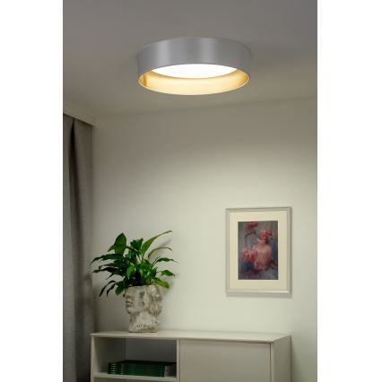 Duolla - Φωτιστικό οροφής LED ROLLER LED/24W/230V διάμετρος 45 cm ασημί/χρυσό