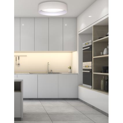 Duolla - Φωτιστικό οροφής LED ROLLER LED/24W/230V διάμετρος 45 cm κρεμ