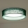 Duolla - Φωτιστικό οροφής LED ROLLER LED/24W/230V διάμετρος 45 cm πράσινο
