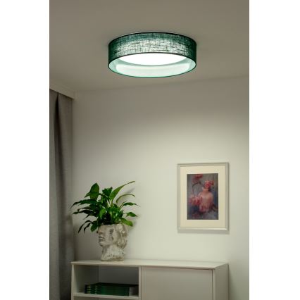 Duolla - Φωτιστικό οροφής LED ROLLER LED/24W/230V διάμετρος 45 cm πράσινο