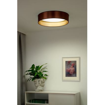 Duolla - Φωτιστικό οροφής LED ROLLER LED/24W/230V διάμετρος 45 cm χαλκός/χρυσό