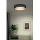 Duolla - Φωτιστικό οροφής LED ROLLER LED/24W/230V μαύρο/χάλκινο