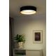 Duolla - Φωτιστικό οροφής LED ROLLER LED/24W/230V μαύρο/χρυσαφί