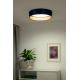 Duolla - Φωτιστικό οροφής LED ROLLER LED/24W/230V μπλε/χρυσαφί