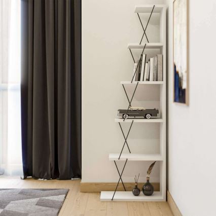 Λευκή βιβλιοθήκη TOR