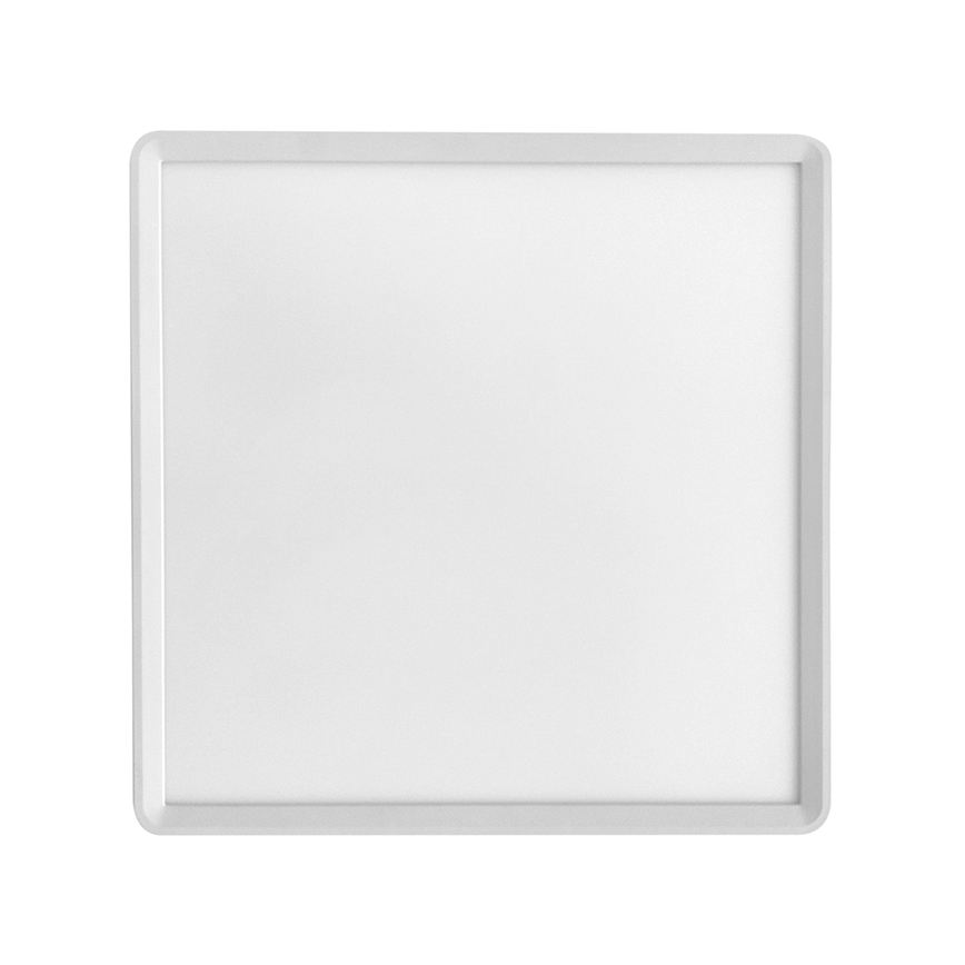 Φωτιστικό οροφής LED TERY LED/40W/230V 3000/4000/6000K 50x50 cm IP40 λευκό