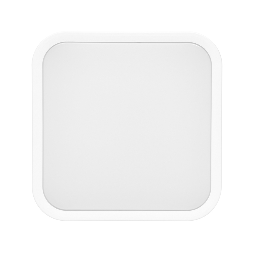 Φωτιστικό οροφής μπάνιου LED LUKY LED/12W/230V 4000K 25x25 cm IP44 λευκό