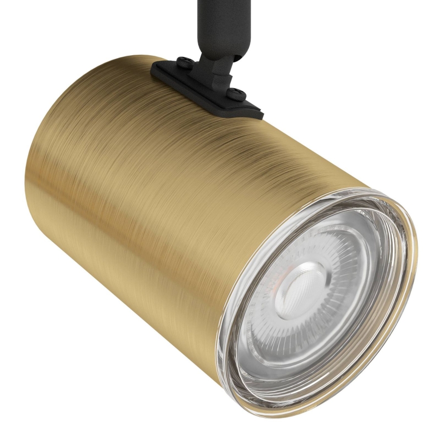 Eglo - Φωτιστικό σποτ μπάνιου 3xGU10/5W/230V IP44 μαύρο/χρυσό