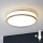 Eglo 31025 - Φωτιστικό οροφής LED για μπάνιο PALERMO 1xE14/40W/230V IP44