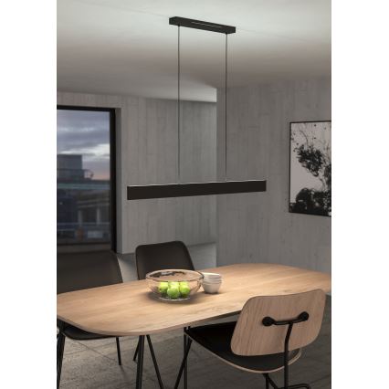 Eglo 31433 - LED RGBW Κρεμαστό φωτιστικό οροφής ντιμαριζόμενο ANDREAS-Z LED/38W/230V 2700-6500K μαύρο