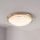 Eglo 32094 - Φωτιστικό οροφής LED PLANET LED/11W/230V 3000K ματ χρώμιο