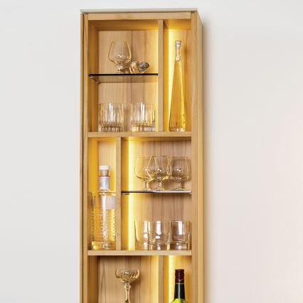 Eglo - LED RGB ταινία 5μ STRIPE-C LED/19W/230V