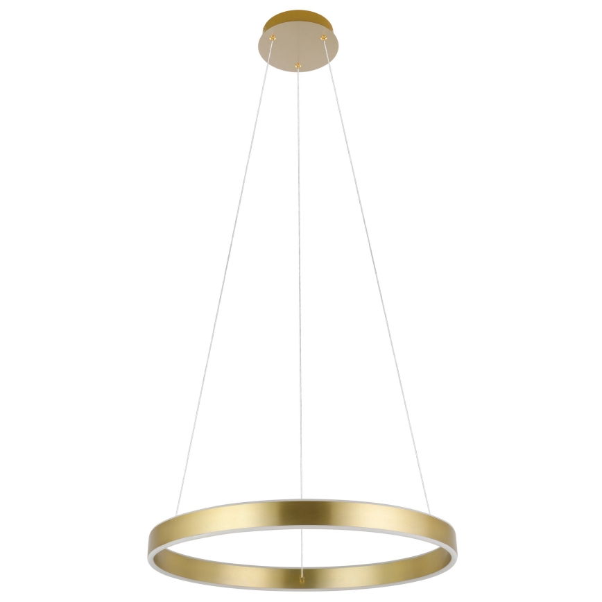 Eglo 33484 - LED πολυέλαιος σε καλώδιο ALCAZABA 2xLED/18W/230V 3000K διάμ. 55 cm χρυσός