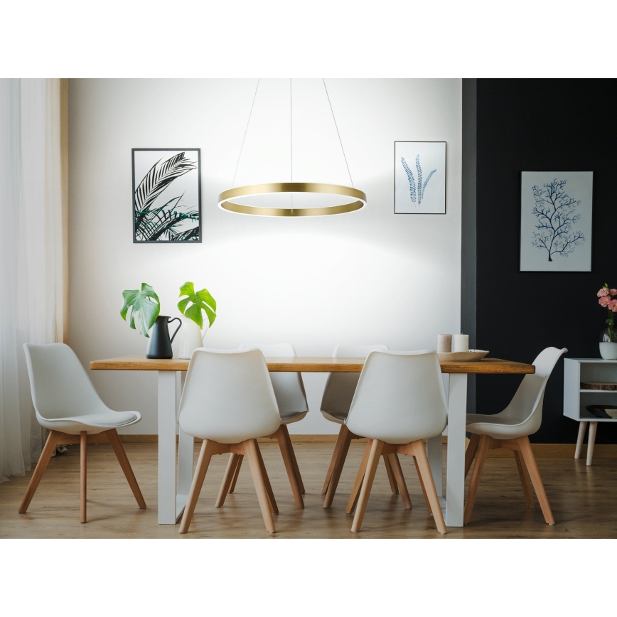 Eglo 33484 - LED πολυέλαιος σε καλώδιο ALCAZABA 2xLED/18W/230V 3000K διάμ. 55 cm χρυσός