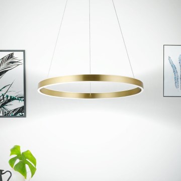 Eglo 33484 - LED πολυέλαιος σε καλώδιο ALCAZABA 2xLED/18W/230V 3000K διάμ. 55 cm χρυσός