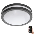 Eglo 33571 - Φωτιστικό μπάνιου dimming LED LOCANA-C LED/14W/230V IP44 μαύρο
