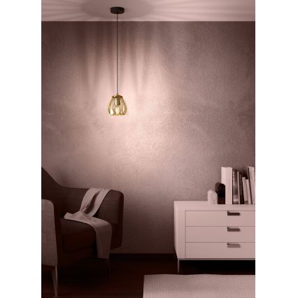 Eglo - Κρεμαστό φωτιστικό οροφής 1xE27/40W/230V χρυσό