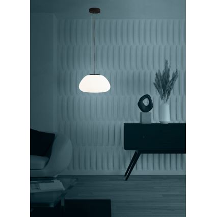 Eglo - Κρεμαστό φωτιστικό οροφής 1xE27/40W/230V μαύρο